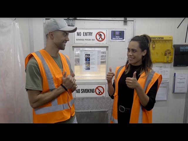 Fishing for a new job? Discover the different skills and roles behind Moana NZ team