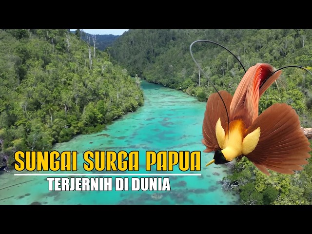 Papua's Heavenly River!!! The Clearest Blue River in the World