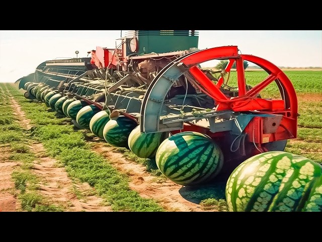 30 Minutes Satisfying Video Working & Exciting Factory Machines, Ingenious Tool, Admirable Worker▶28