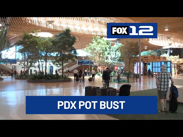 Passenger removed from flight at PDX after TSA finds marijuana in luggage