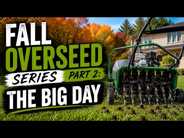 Fall Overseed Advice Part 2: The BIG Day
