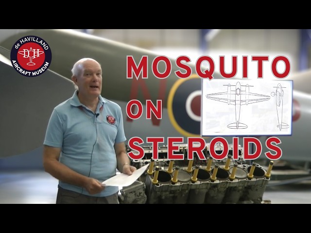 Mosquito on Steroids