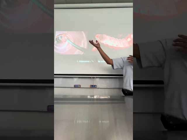 PATO LAB 8