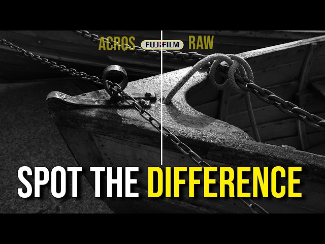 Stop Fighting About RAW vs JPEG (It's Pointless)