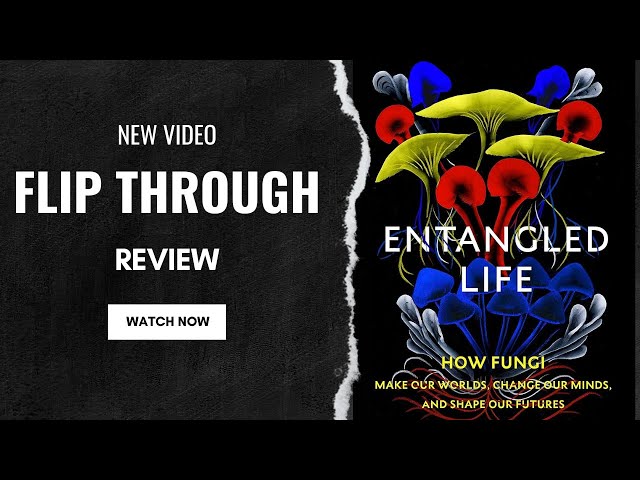 Entangled Life: How Fungi Make Our Worlds, Change Our Minds and Shape Our Futures