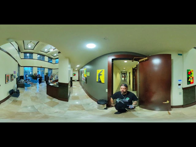 I am using Pilot professional panoramic camera for 360 live streaming.