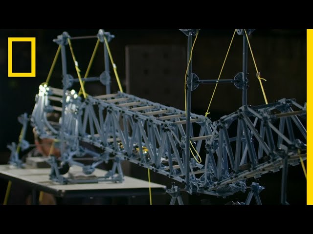 The Collapse of West Virginia's Silver Bridge | Atlas of Cursed Places