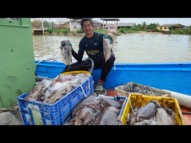 nelayan bubu sotong Kampung Batin Seberang Takir