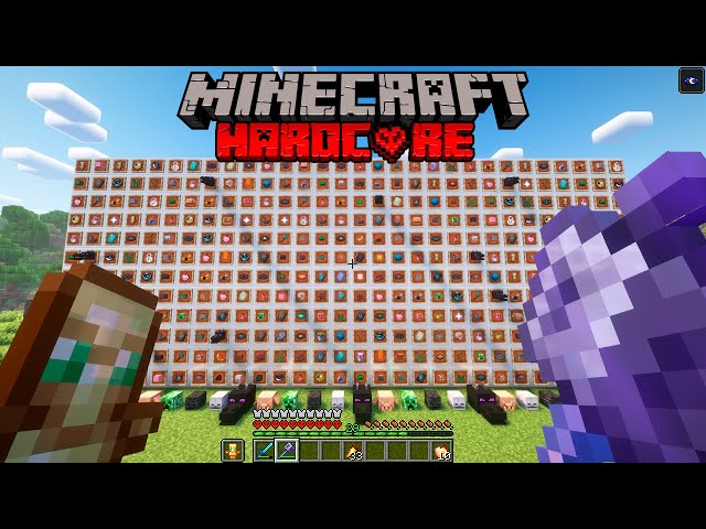 I found the most exclusive items in Minecraft!