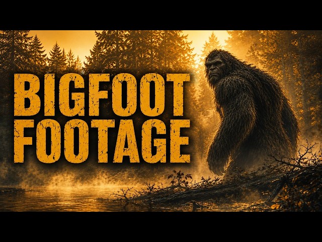 7 Bigfoot Videos That Will Make You Question What’s Hiding in the Woods
