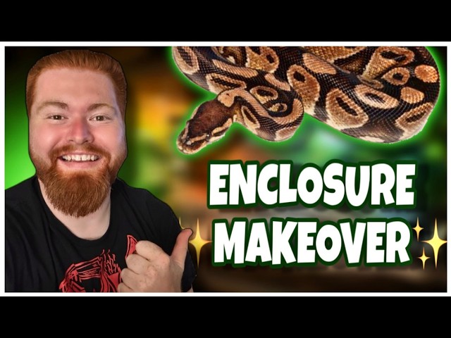 Making My Python's Enclosure 100X BETTER!