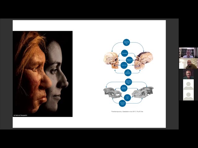 Edinburgh Lectures in Language Evolution: Cedric Boeckx