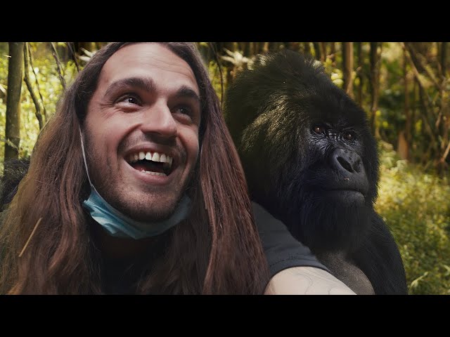 The kingdom of the GORILAS | Uganda