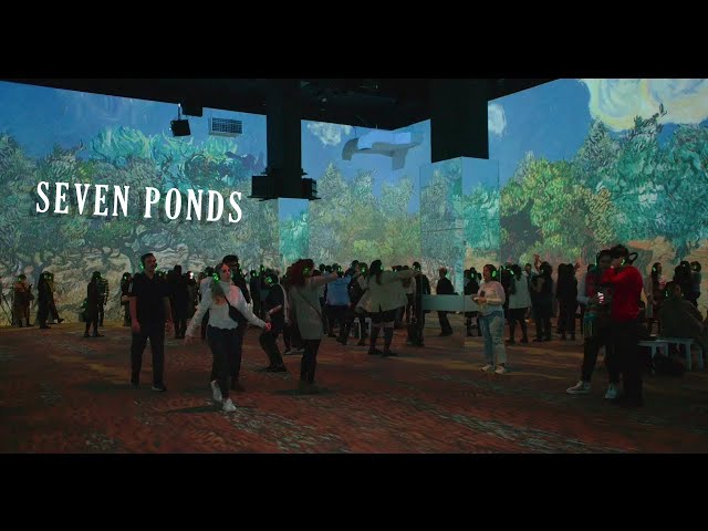 Sina Bathaie - Seven Ponds (Live at Immersive Van Gogh Exhibit)