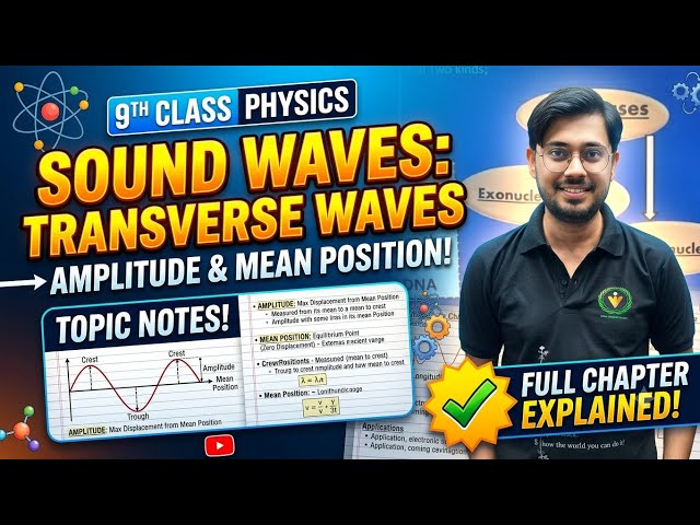 Class 9 Physics: Transverse Waves Explained | Crest, Trough, Amplitude & Mean Position