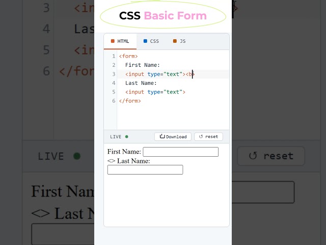 HTML Basic Form #coding #htmltutorial #csstutorial