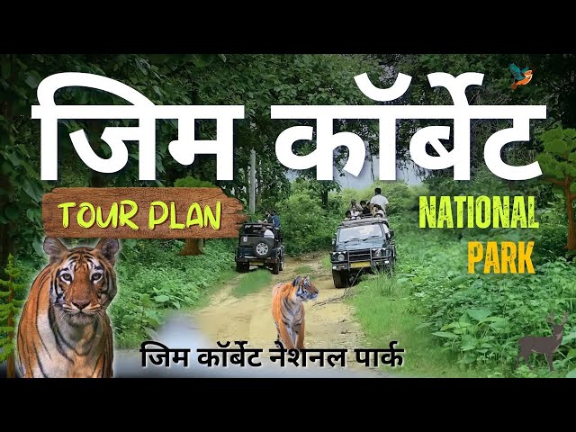 Jim Corbett National Park | Tiger Sighting | Jungle Safari Uttarakhand | Tour Guide | Dhikala Zone
