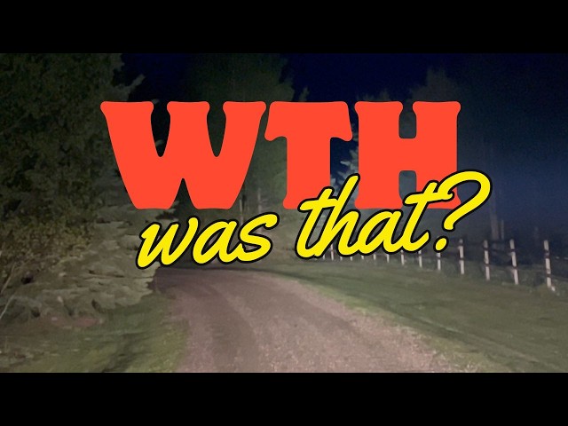 Trucker's Dash Cam Video Of A Sasquatch At A Rural Industrial Site