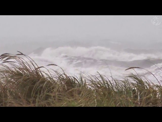 🌀 Hurricane, Storm Ambience on the Beach with Heavy Rough Ocean Waves Crashing on the Coast