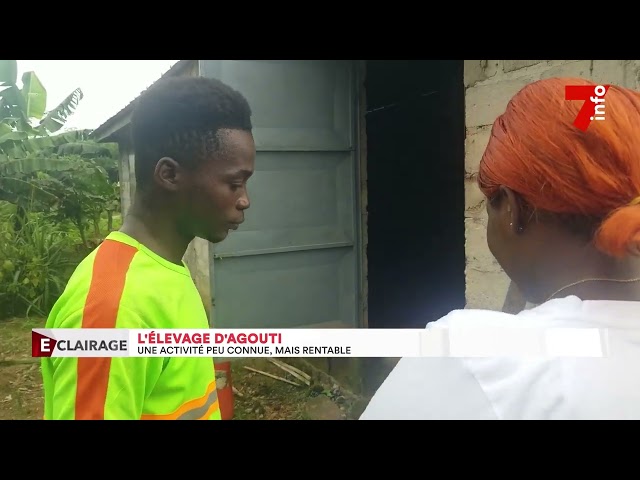 Agouti farming: a little-known but profitable activity