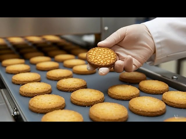 How Biscuits Are Made in a Factory | Inside Industrial Biscuit Production Process