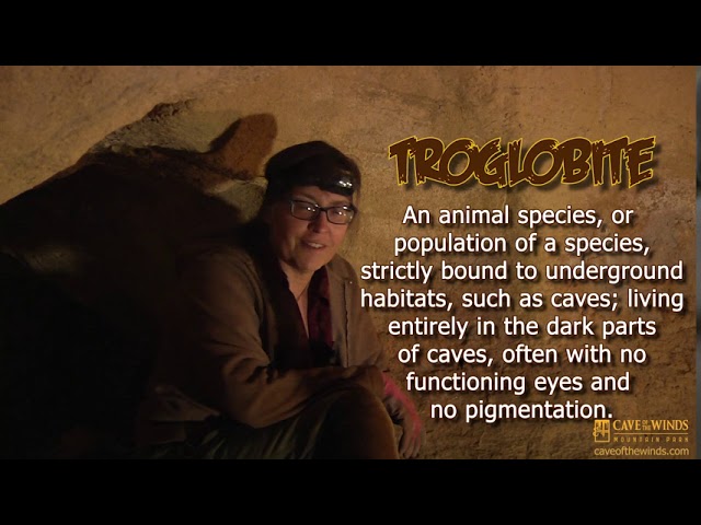 Cave of the Winds | Cool Science & You!