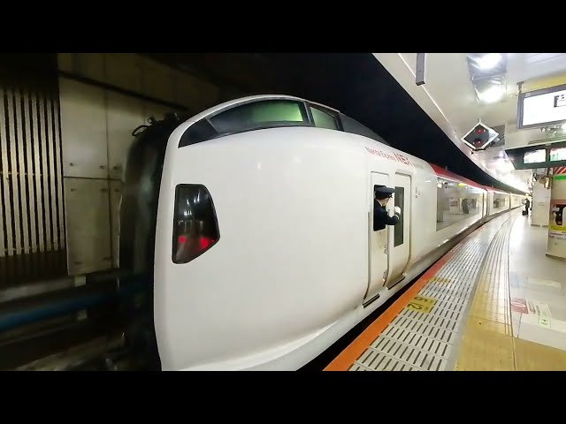 [VR180] 成田エクスプレス 東京駅を出発 E259系 NEX JR東日本