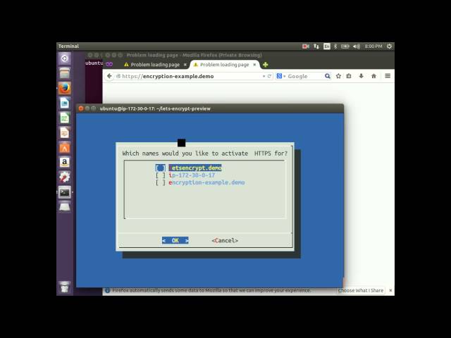 Let's Encrypt Demo