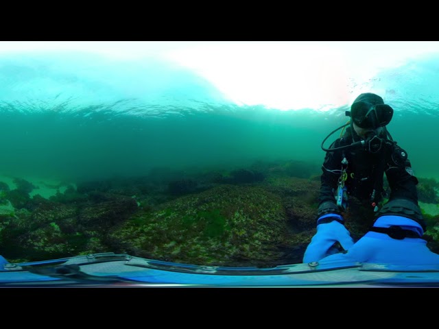 SCUBA Video in 360