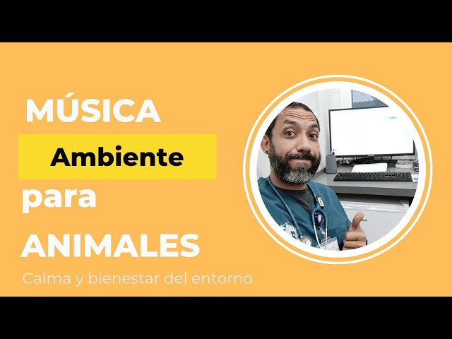 Frecuencias de Calma Animal: Ciencia y Música para Reducir el Estrés