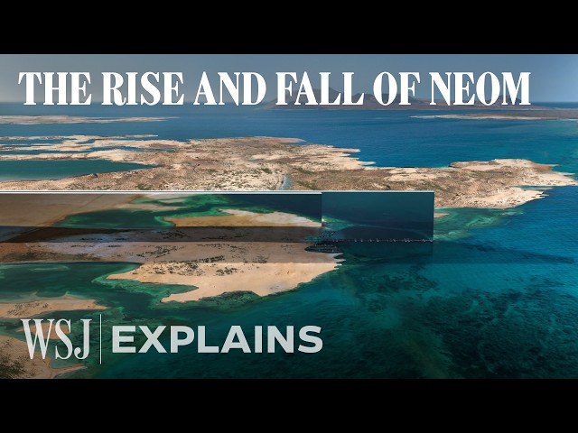 Why the World’s Largest Megaproject Collapsed | WSJ