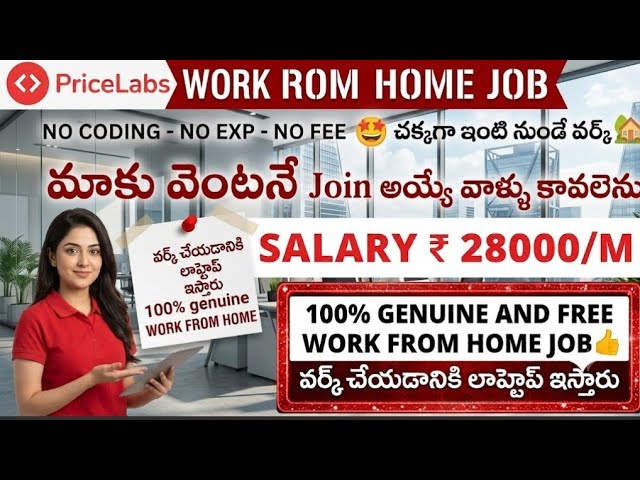 Urgent price labs work from Home job 2026/ any one can apply/work from Home job/price labs jobs