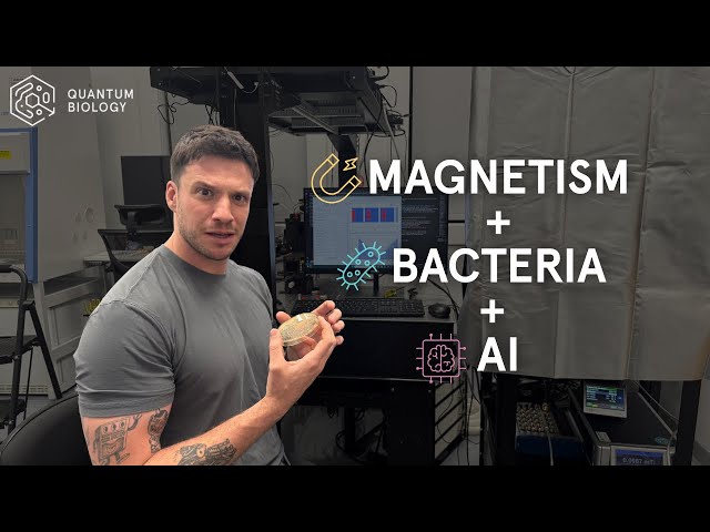 New Interface for the Bacterioscope: Magnetosensitivity Experiments in Bacteria