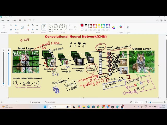 Day 19 - CNN (Convolutional Neural Network)  | CNN Architecture & MNIST Digit Classification