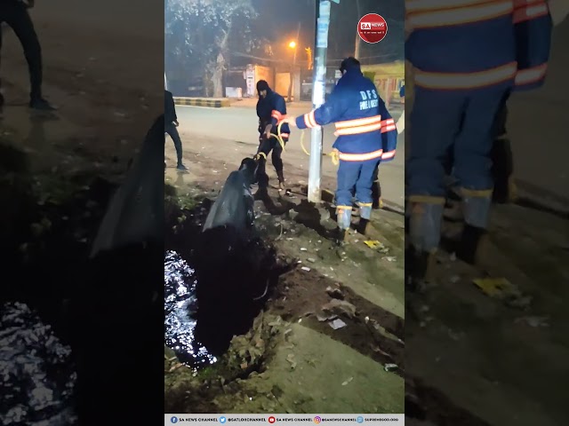 आधी रात को नाले में फंसी गाय, Sant Rampal Ji के भक्तों ने ऐसे बचाई जान 🥺🙏 #CowRescue #GauMata