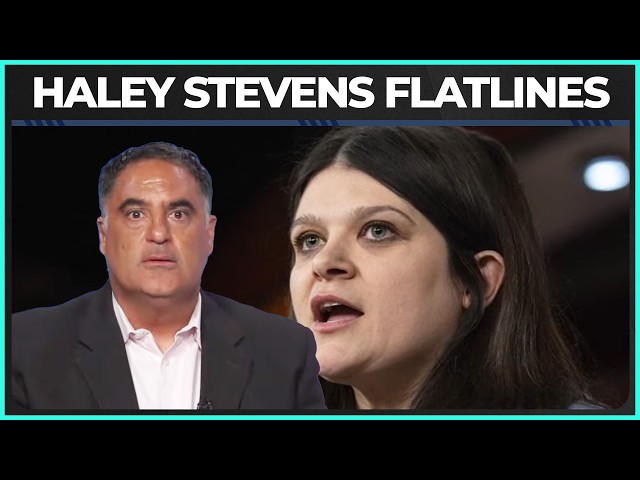 Haley Stevens Has OFFICIALLY Hit Sore Loser Status