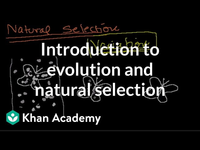 Introduction to Evolution and Natural Selection
