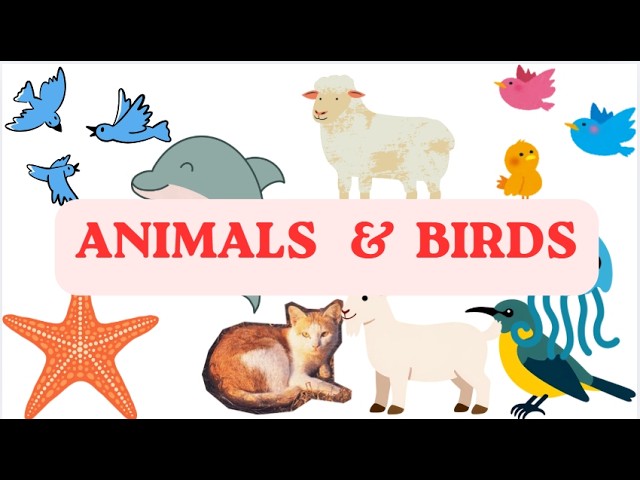 Educational Video for Kids #ABCD #AlphabetSong #KidsLearning #ToddlerLearning #LearnABC