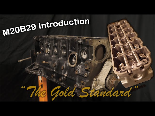 "The Gold Standard" 2.9 Stroker M20 Build (Introduction)