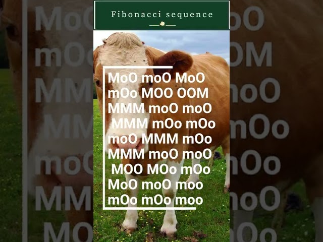 3 Most Bizarre Programming Languages Ever Created