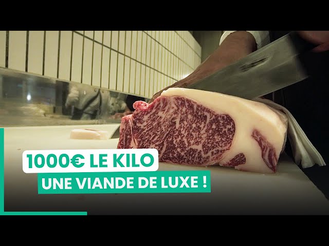 Les secrets du boeuf de Kobe, la viande la plus chère au monde | 750GTV