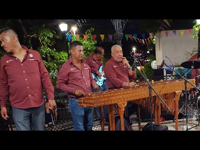 Baile en el parque de la marimba Chiapas