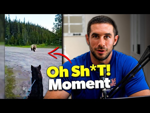 These Dog vs Wildlife Encounters Are SCARY
