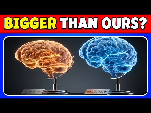 Neanderthals Actually Had Bigger Brains Than Us