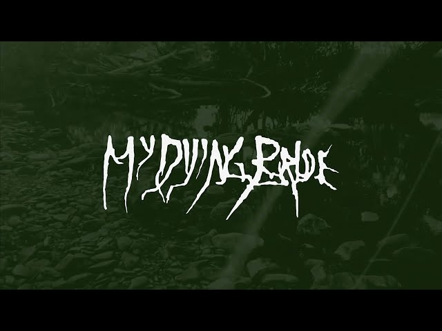 My Dying Bride - Anthology Of Sombre Reflections 8LP Box Set  - The Unboxing