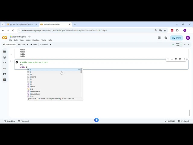 how to write while loop in python
