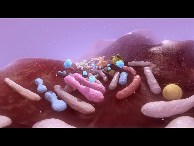 The unique Balancius® mode of action - It's all in the detail - VR Version