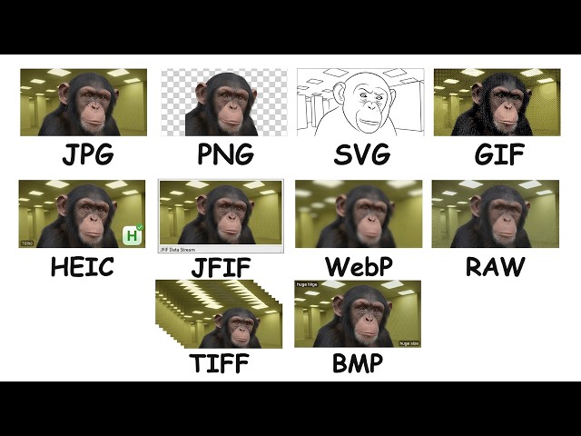Every Type of Image Format Explained