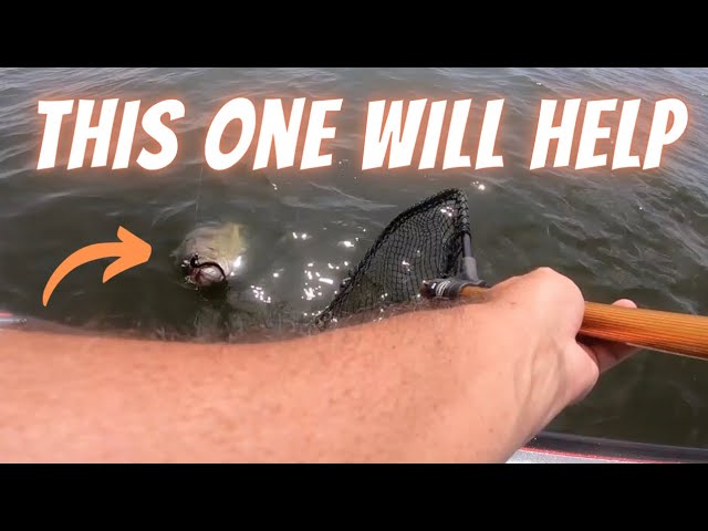 Lake Fork Summer Bass Fishing Tournament: Slot Fish Count!!! Best Format For Lake Fork!