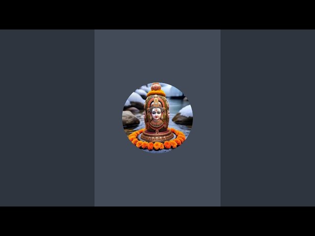 dev shorts videos  is live